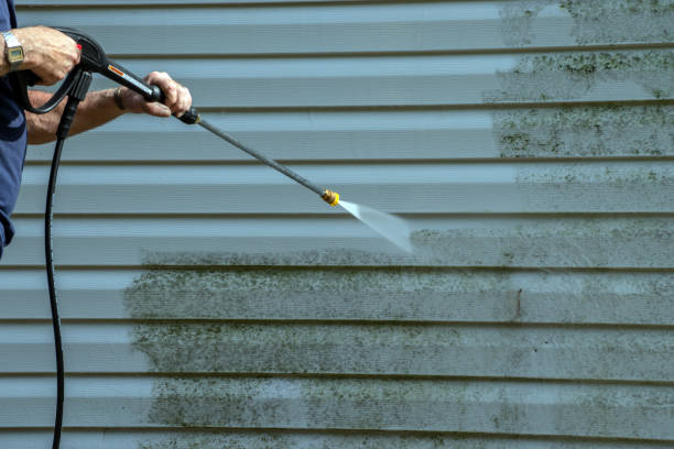 Best Spring Cleaning  in Versailles, KY